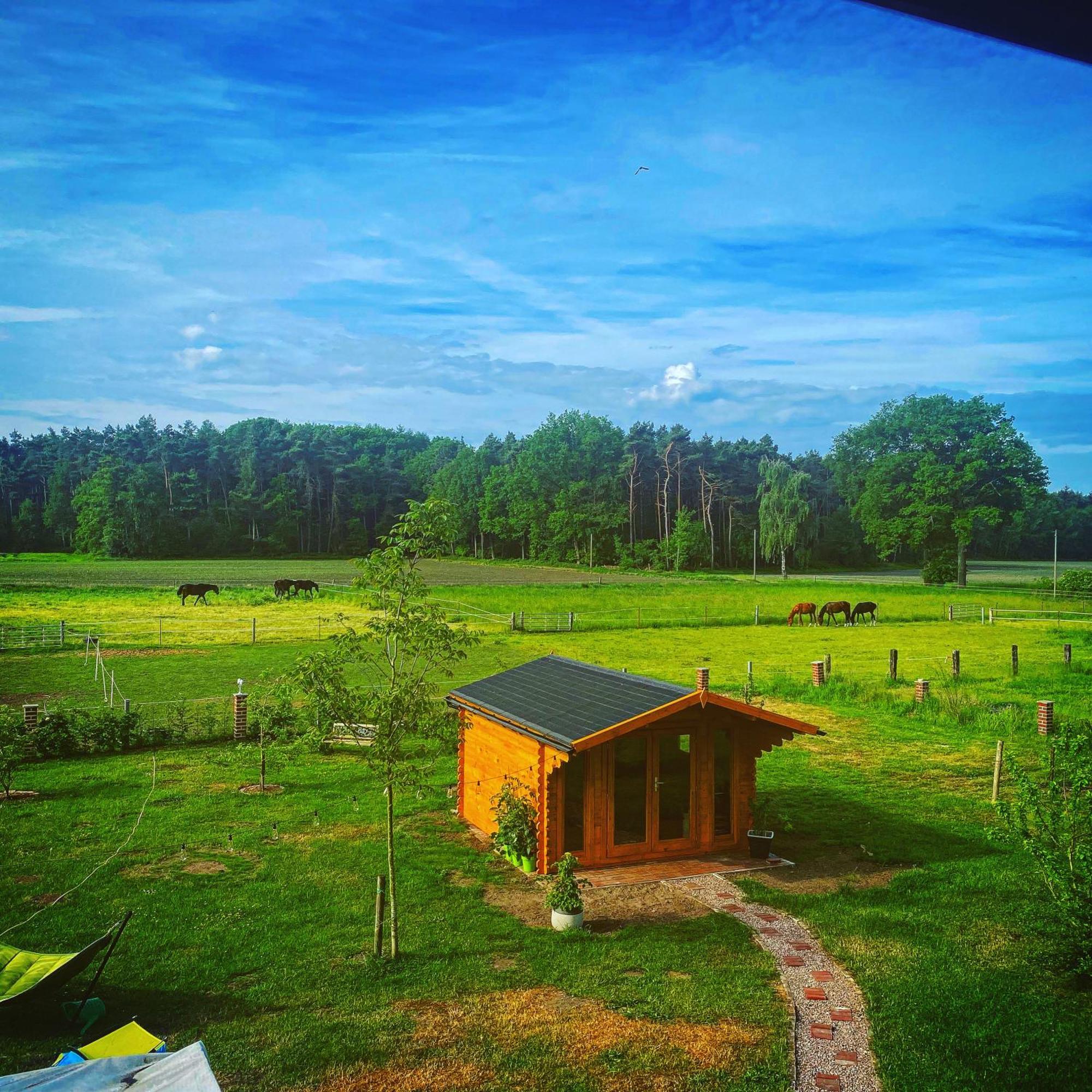 Wunderschoene Ferienwohnung Mit Balkon Auf Dem Bauernhof Гревен Екстериор снимка